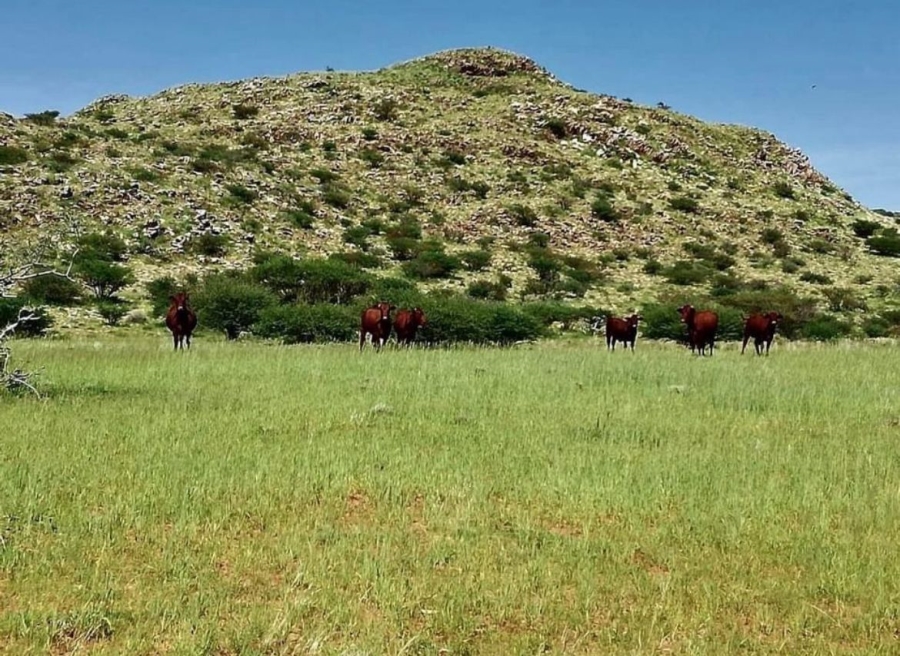 0 Bedroom Property for Sale in Upington Rural Northern Cape